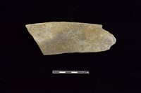 藏品(陶片)的圖片